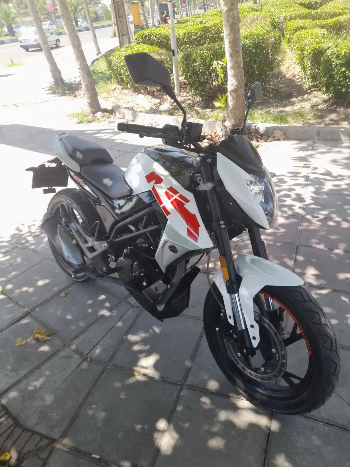 سی آف ۱۵۰ ترتمیز|موتورسیکلت|بندر انزلی, تختی|دیوار