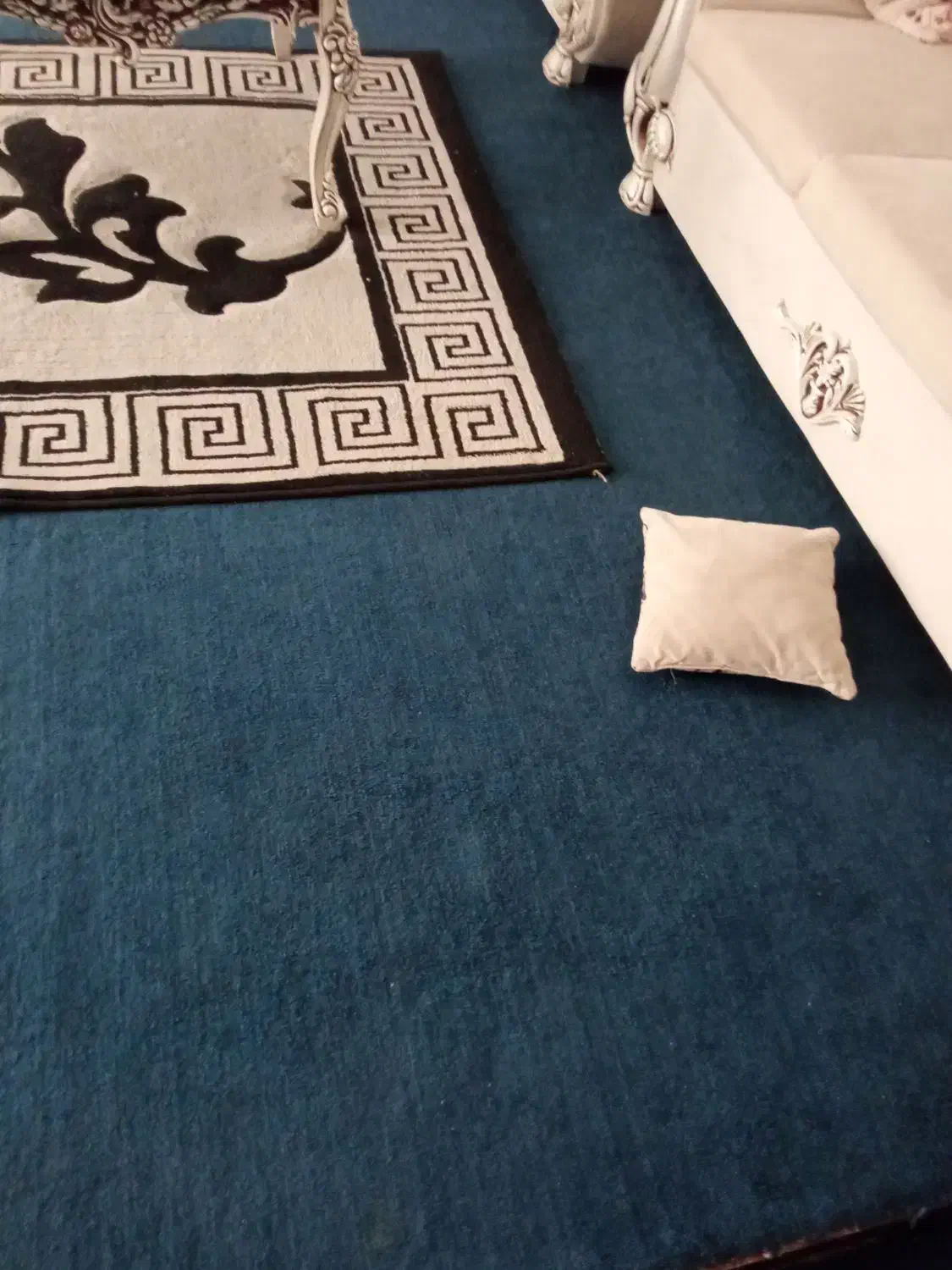 پالاز موکت|موکت|باشت, |دیوار