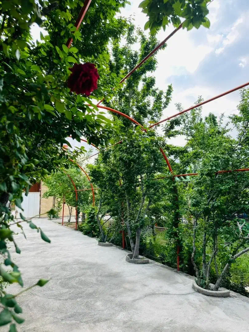 ملک کوشک با آب برق گاز مناسب سوله و باغ|فروش دفتر صنعتی، کشاورزی، تجاری|خمینیشهر, |دیوار