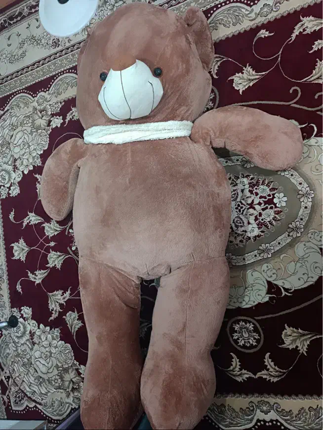 خرس بزرگ|اسباب‌‌بازی|برازجان, |دیوار