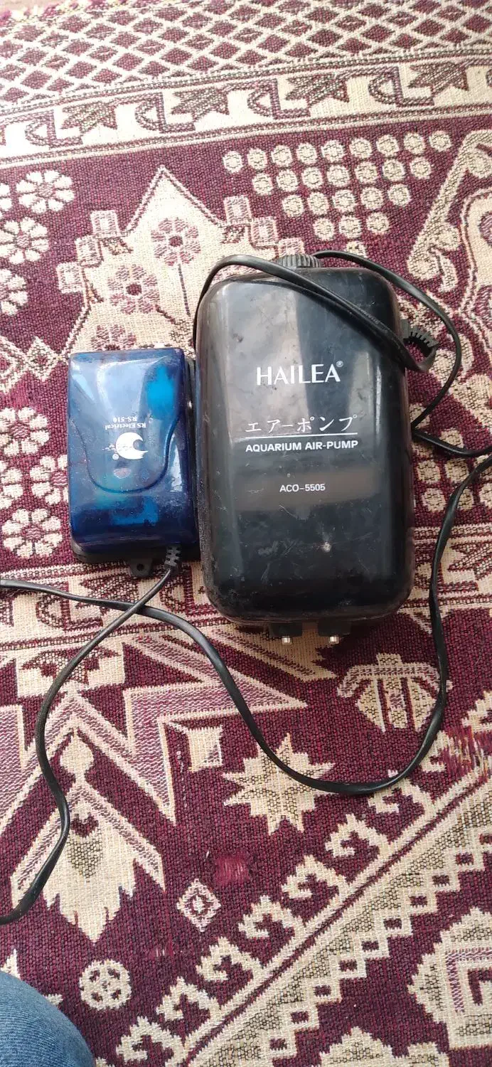 وسایل اکواریوم|ماهی|خوی, |دیوار