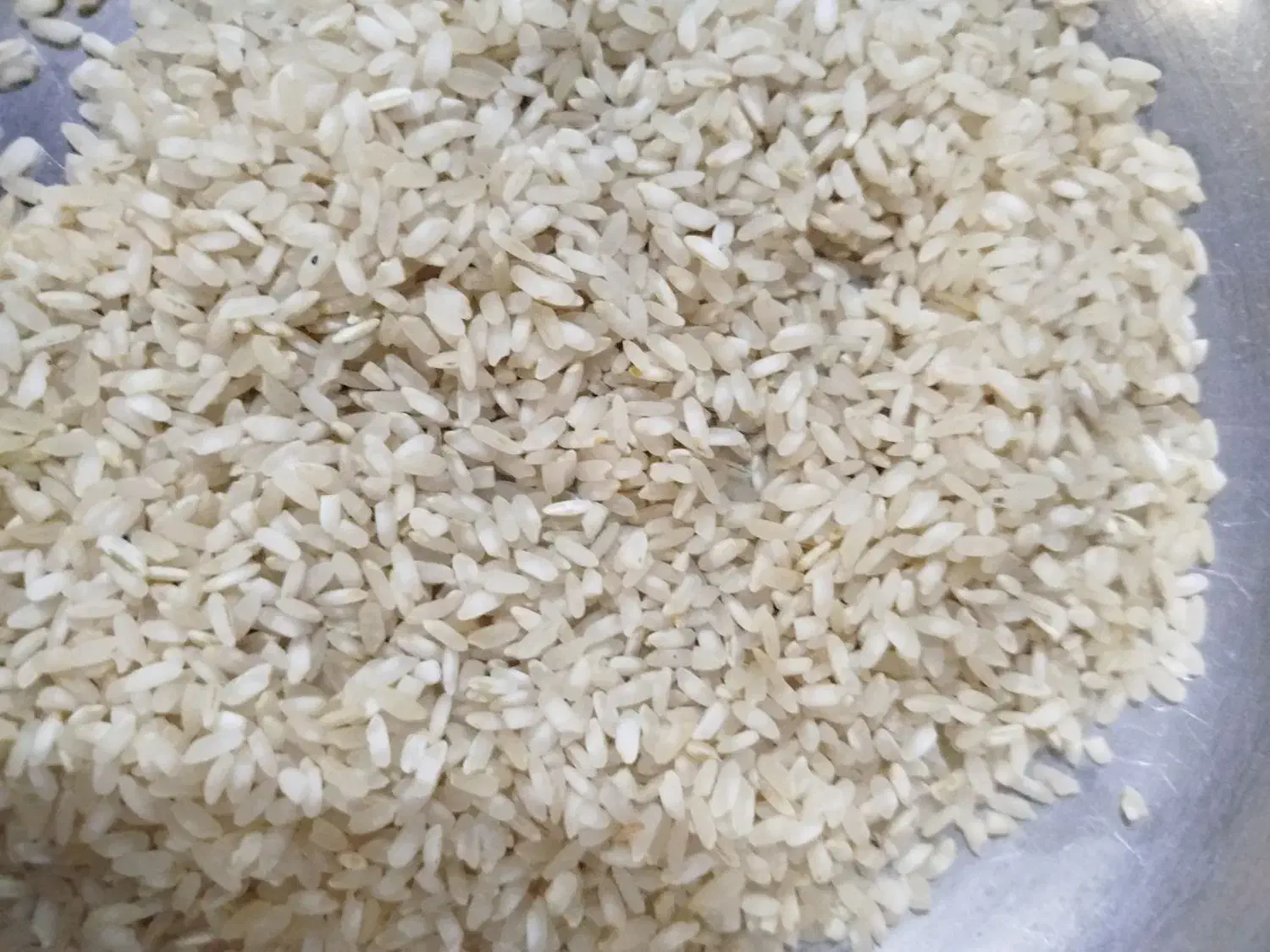 برنج کامفیروز و نیمدونه تحویل درب منزل|خوردنی و آشامیدنی|شیراز, دشت چنار|دیوار