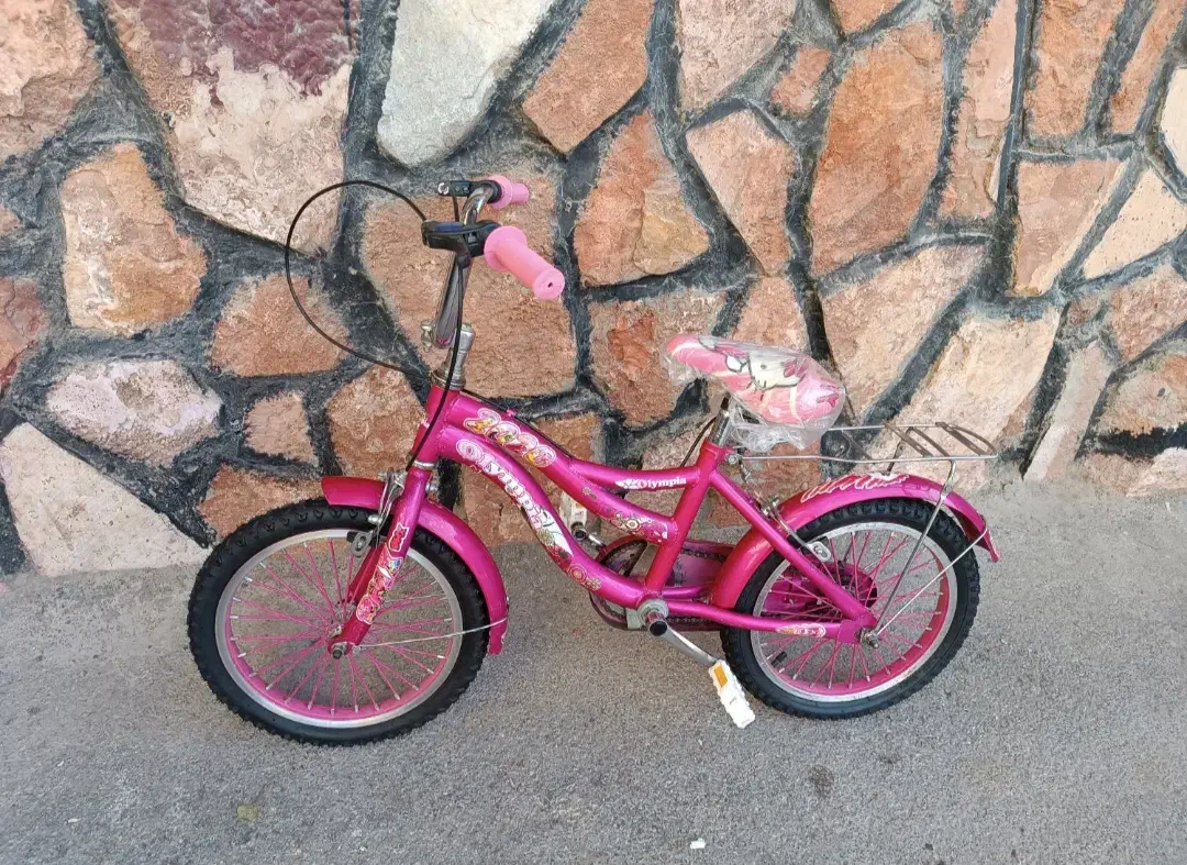 دوچرخه|فعالیت داوطلبانه تحقیقاتی|اصفهان, شیخ اشراق|دیوار