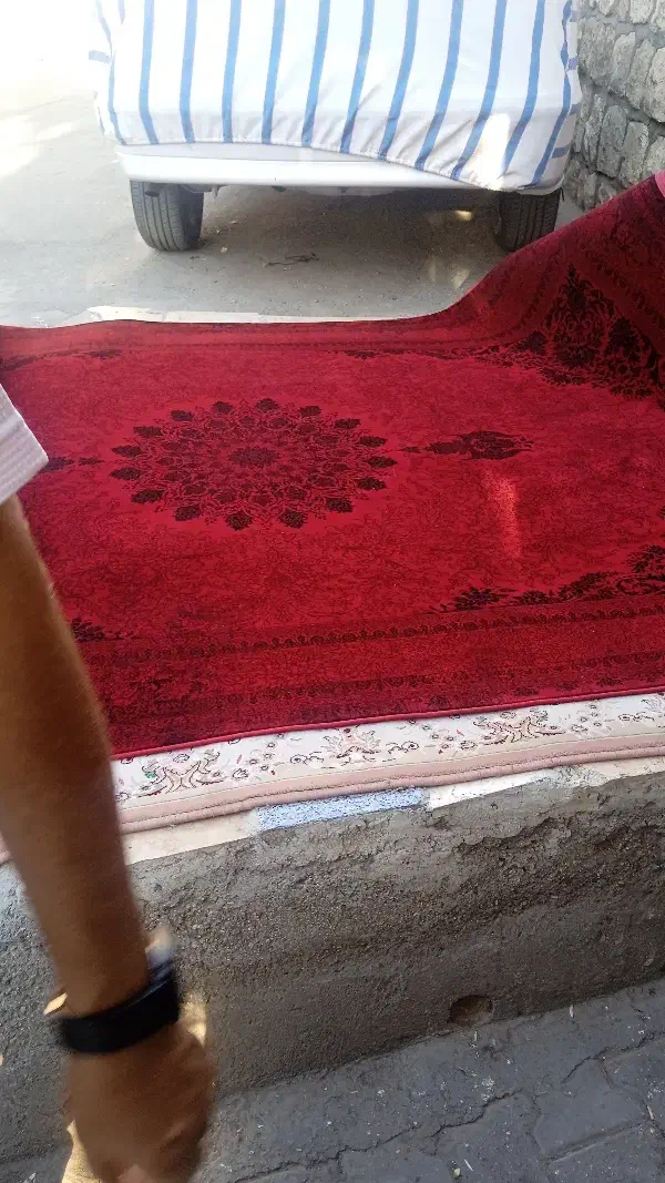 فرش قرمز ۶متری ۷۰۰شانه۱۰رنگ|فرش|مهاباد (آذربایجان غربی), |دیوار