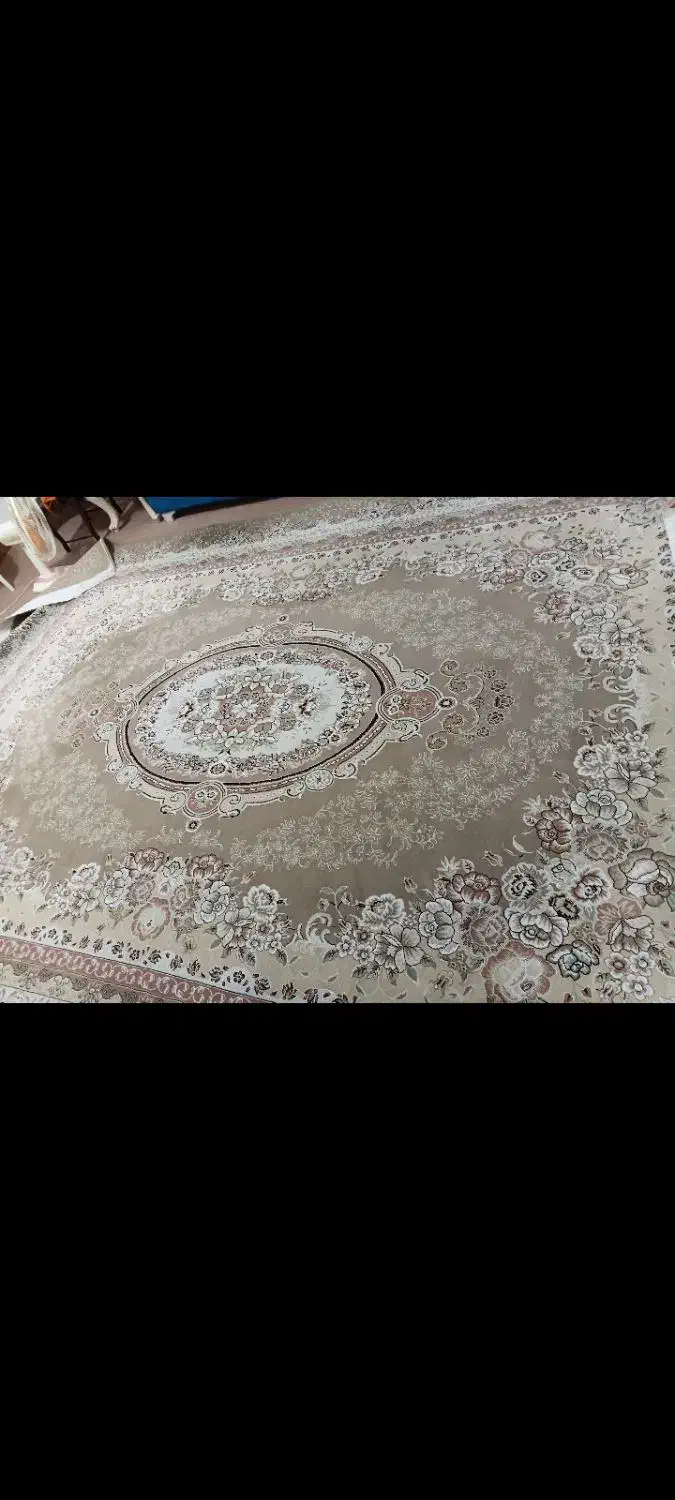 فرش ۱۲ متری|فرش|رشت, حمیدیان|دیوار