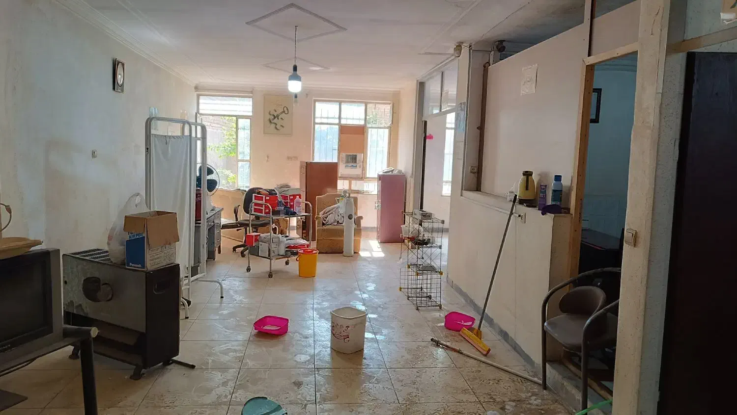 شرکت خدمات نظافتی نسترن|خدمات نظافت|همدان, |دیوار