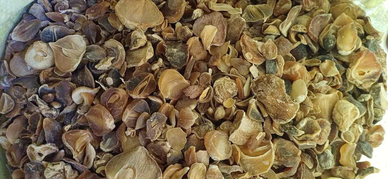 موسیر درجه یک و دو همدان|خوردنی و آشامیدنی|قم, باغ شریفی|دیوار