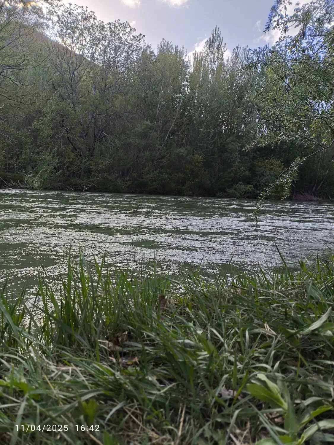 اجاره روزانه ویلا ۶۰۰ متری در باغ بهادران|اجارهٔ کوتاهمدت ویلا و باغ|اصفهان, کشاورزی|دیوار
