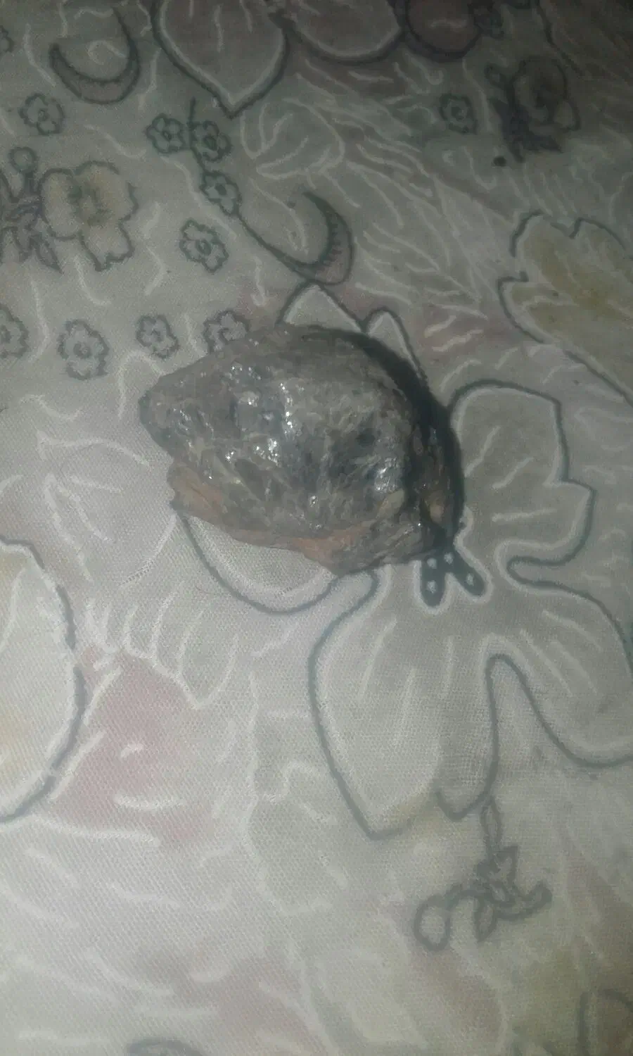 سنگ|کلکسیون و سرگرمی|زبرخان, |دیوار