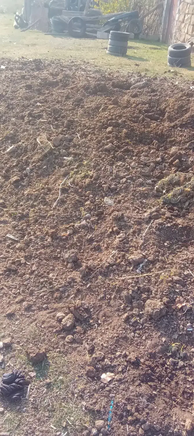 کود دامی|گل و گیاه طبیعی|انگوت, |دیوار