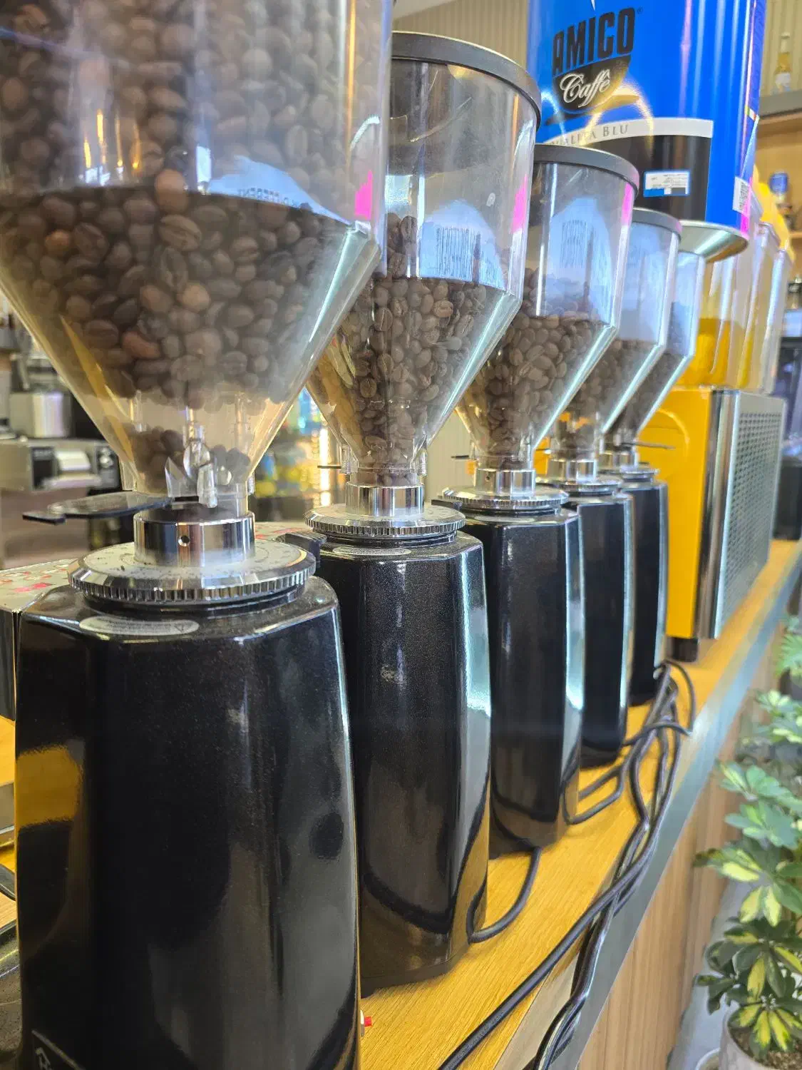 نیازمند باریستا خانم و آقا|استخدام خدمات فروشگاه و رستوران|صدرا-فارس, فاز ۱|دیوار