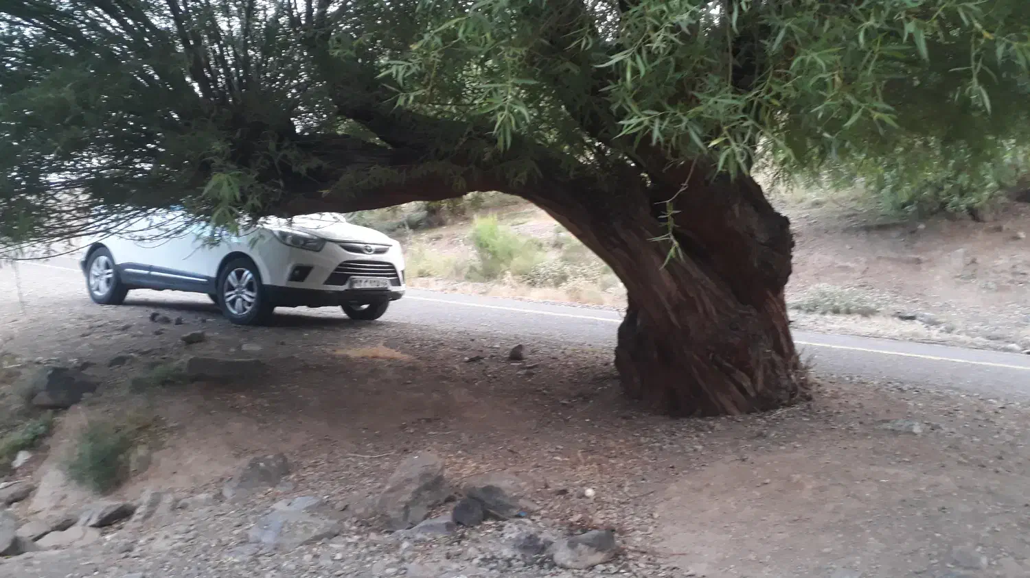 جک شاسی سفید|خودرو سواری و وانت|قم, امامزاده ابراهیم|دیوار