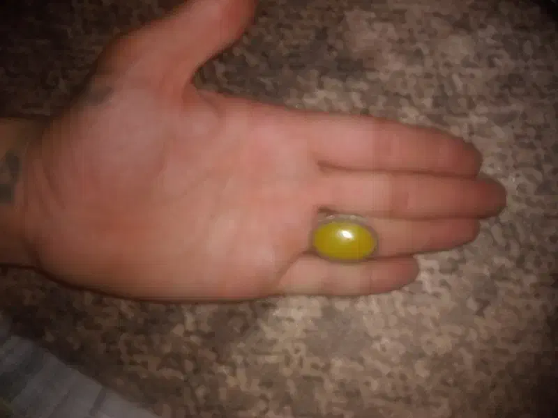 داوطلب  شرفه شمس|فعالیت داوطلبانه|تهران, جوادیه تهرانپارس|دیوار