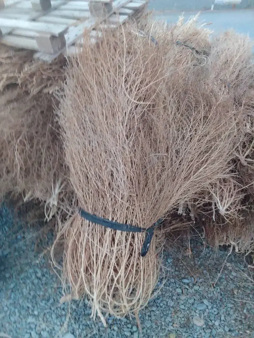 فروش گسکی شاری|لوازم نظافت|سقز, |دیوار