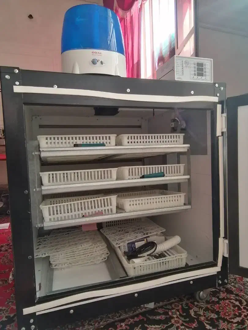 دستگاه جوجه کشی اسکندری|لوازم جانبی حیوانات|شیراز, شهرک مهدی‌آباد|دیوار