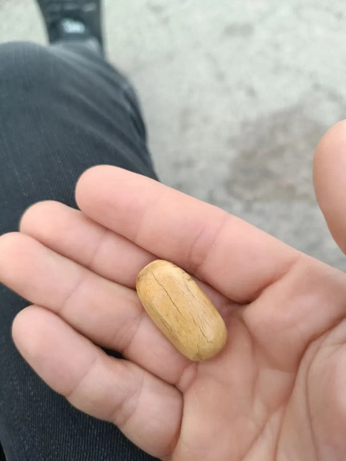 مهره|کلکسیون اشیاء عتیقه|ملکآباد, |دیوار