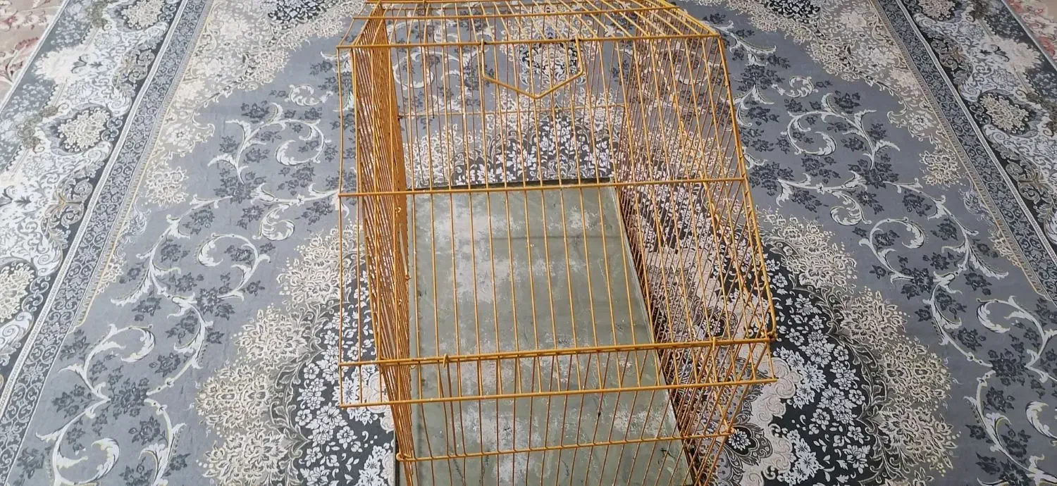 قفس|لوازم جانبی حیوانات|مشهد, ایثارگران|دیوار