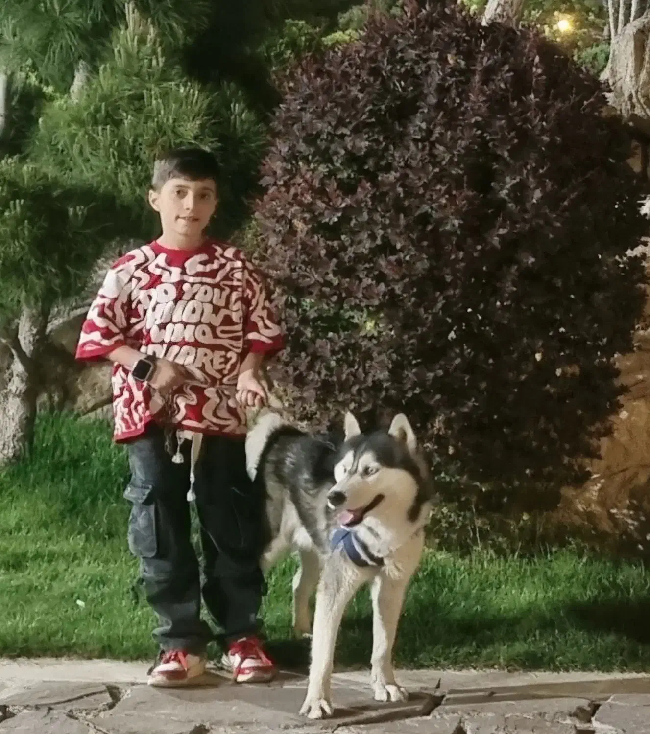 سگ هاسکی گم شده|حیوانات|مشهد, شهید قربانی|دیوار