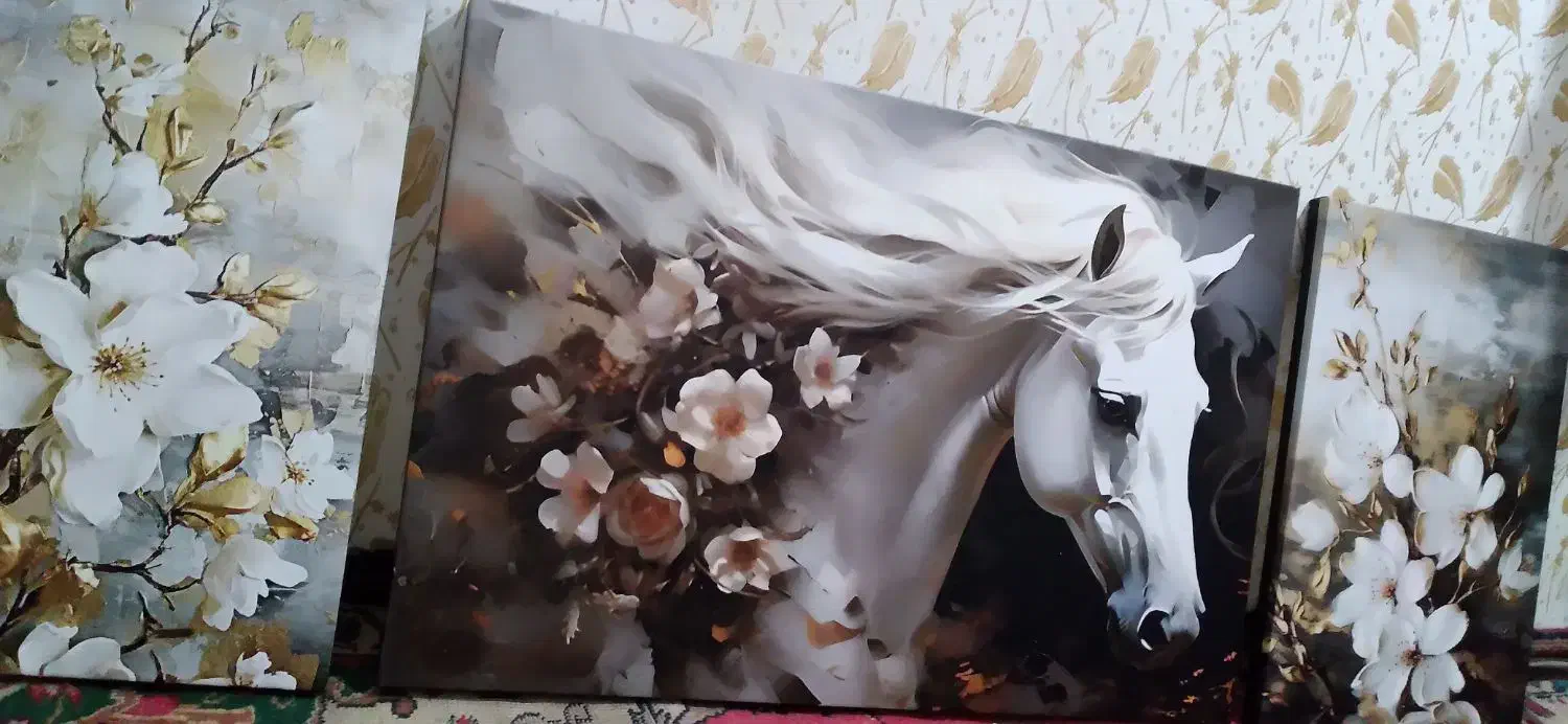 تابلو سه تیکه|تابلو، نقاشی، عکس|میاندوآب, |دیوار