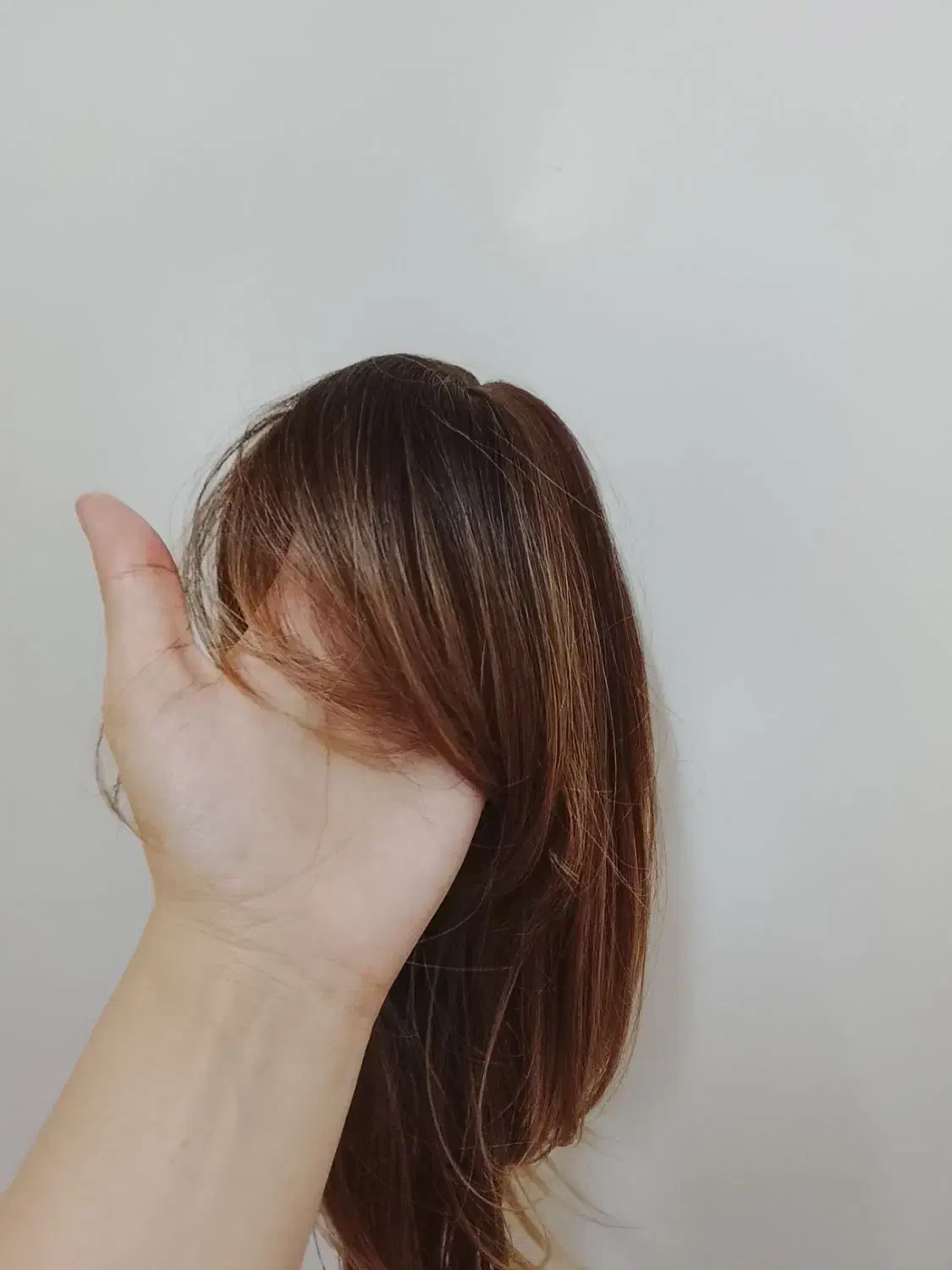 کلاه گیس وارداتی|آرایشی، بهداشتی، درمانی|یزد, |دیوار