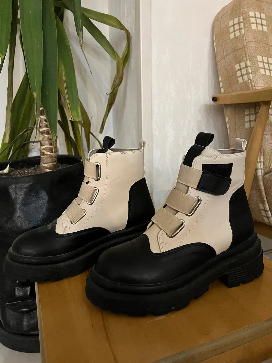 نیم بوت|کیف، کفش، کمربند|شیراز, اصلاح‌نژاد|دیوار