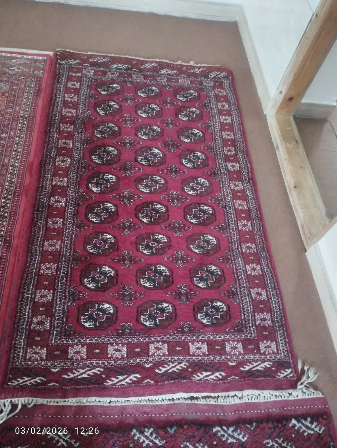 فرش دستبافت|فرش|گنبد کاووس, |دیوار