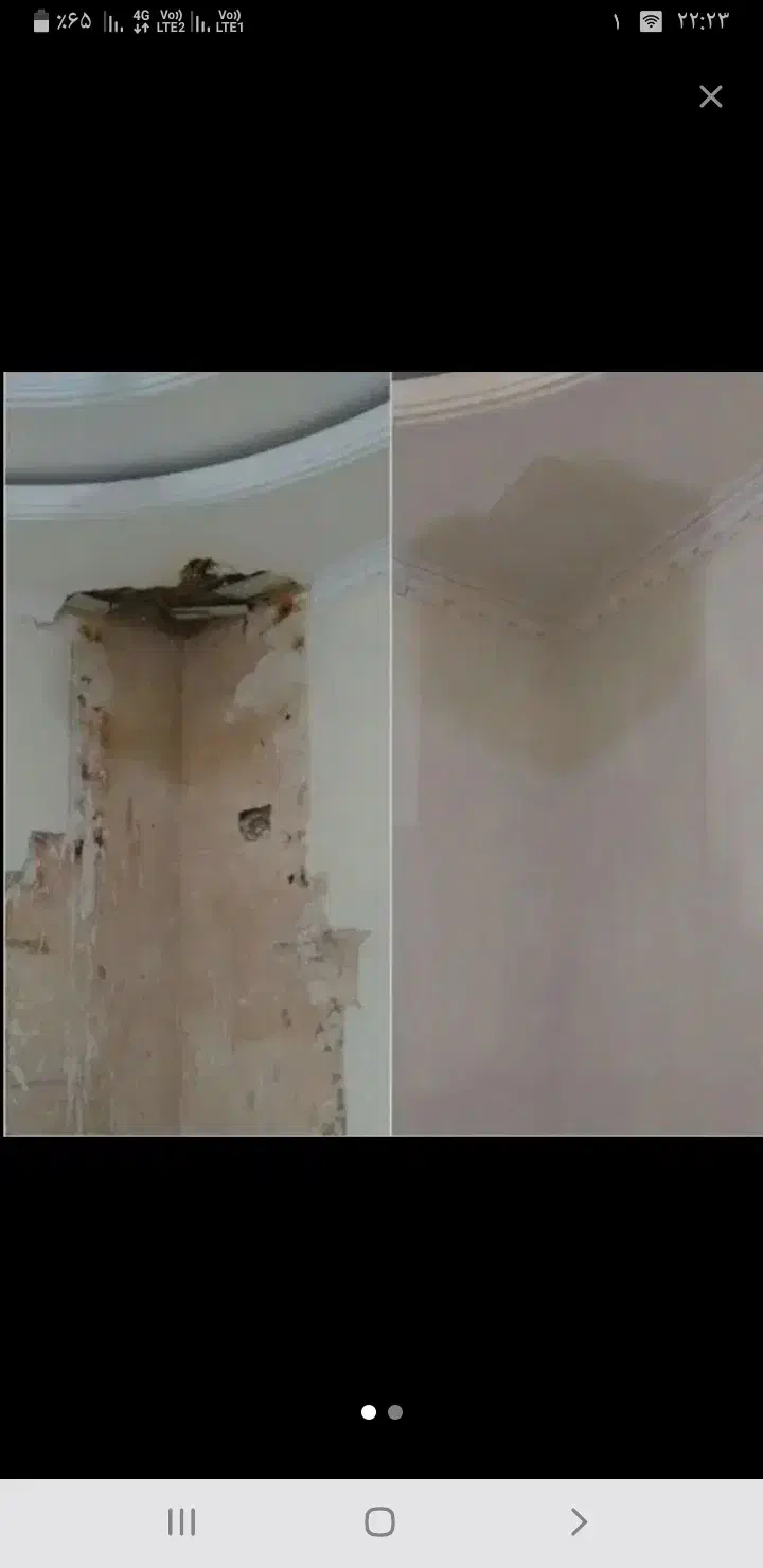 گچکاری و لکه گیری|خدمات پیشه و مهارت|شاهرود, |دیوار