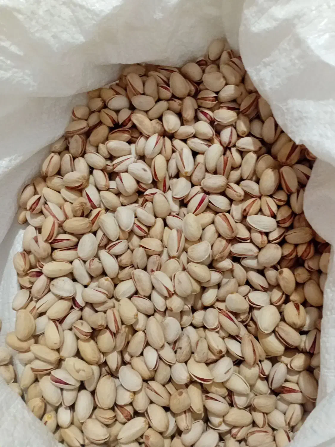 پسته درجه یک|خوردنی و آشامیدنی|نیشابور, دارایی|دیوار