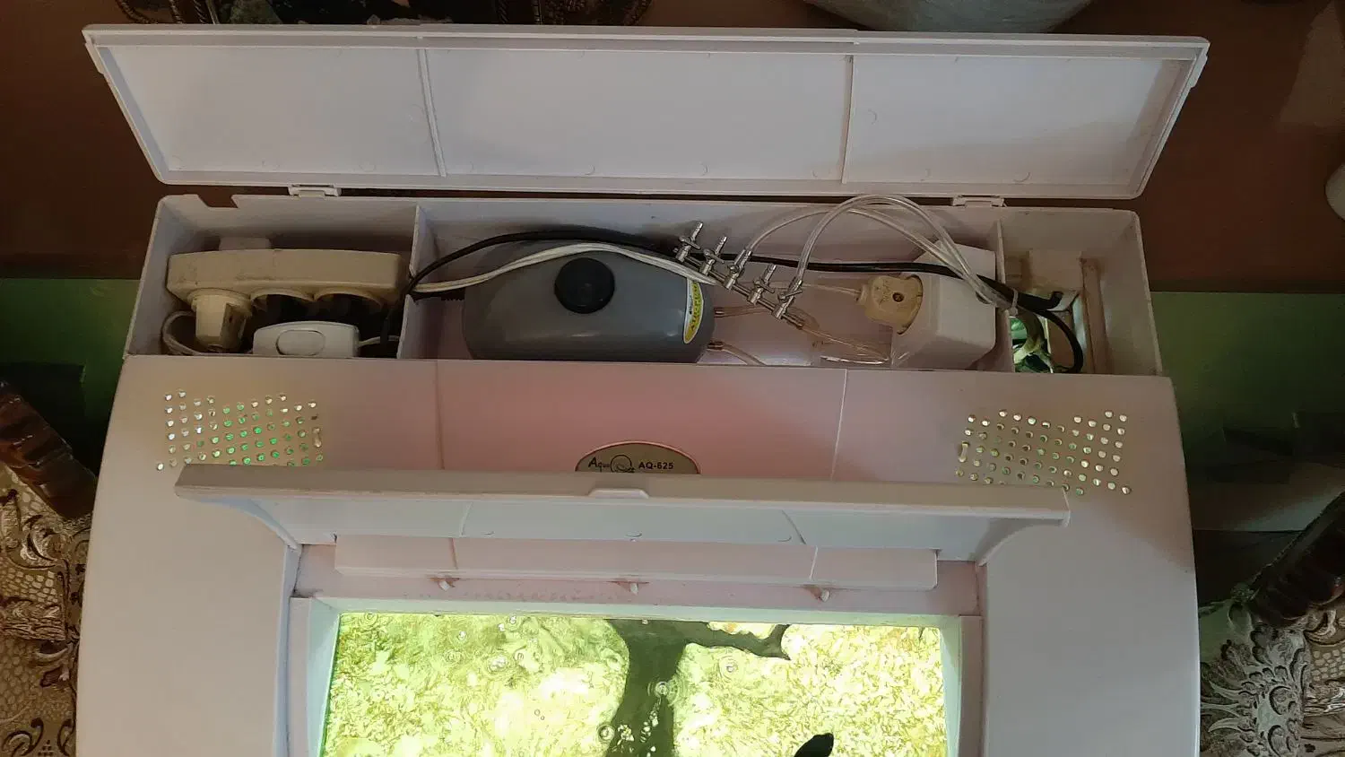 آکواریوم شرکتی|ماهی|تبریز, |دیوار