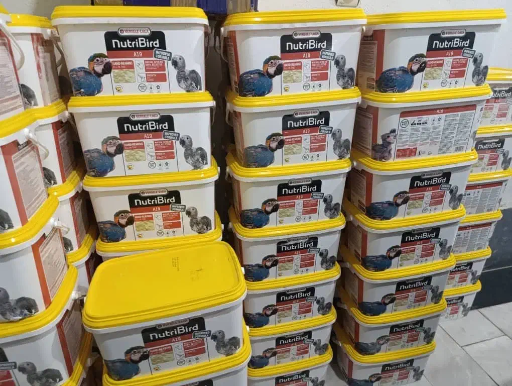 سرلاک آ۱۹ ورسلگا|لوازم جانبی حیوانات|بهشهر, |دیوار