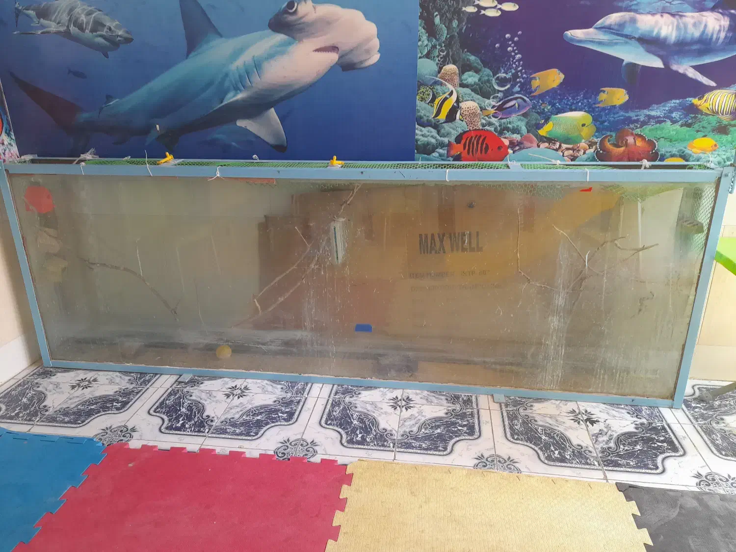 فروش ۱۳ عدد اکواریوم دست دوم با پایه وتعدادی ماهی|ماهی|میبد, |دیوار