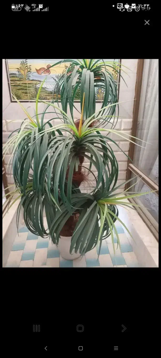 گل مصنوعی|گل مصنوعی|هرند, |دیوار