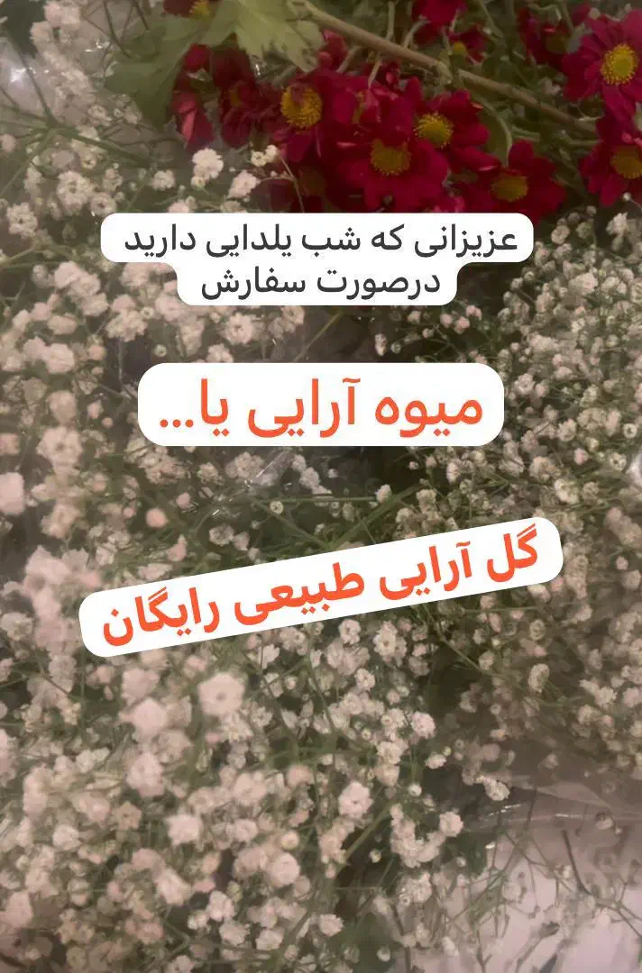 شب یلدایی|خدمات پذیرایی، مراسم|قم, زنبیل آباد|دیوار