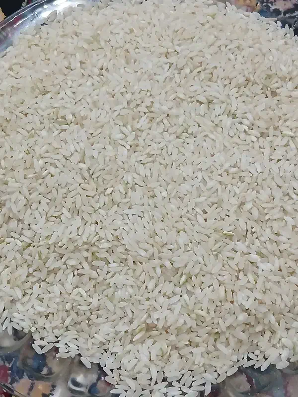 چمپا شهریار|خوردنی و آشامیدنی|فلارد, |دیوار