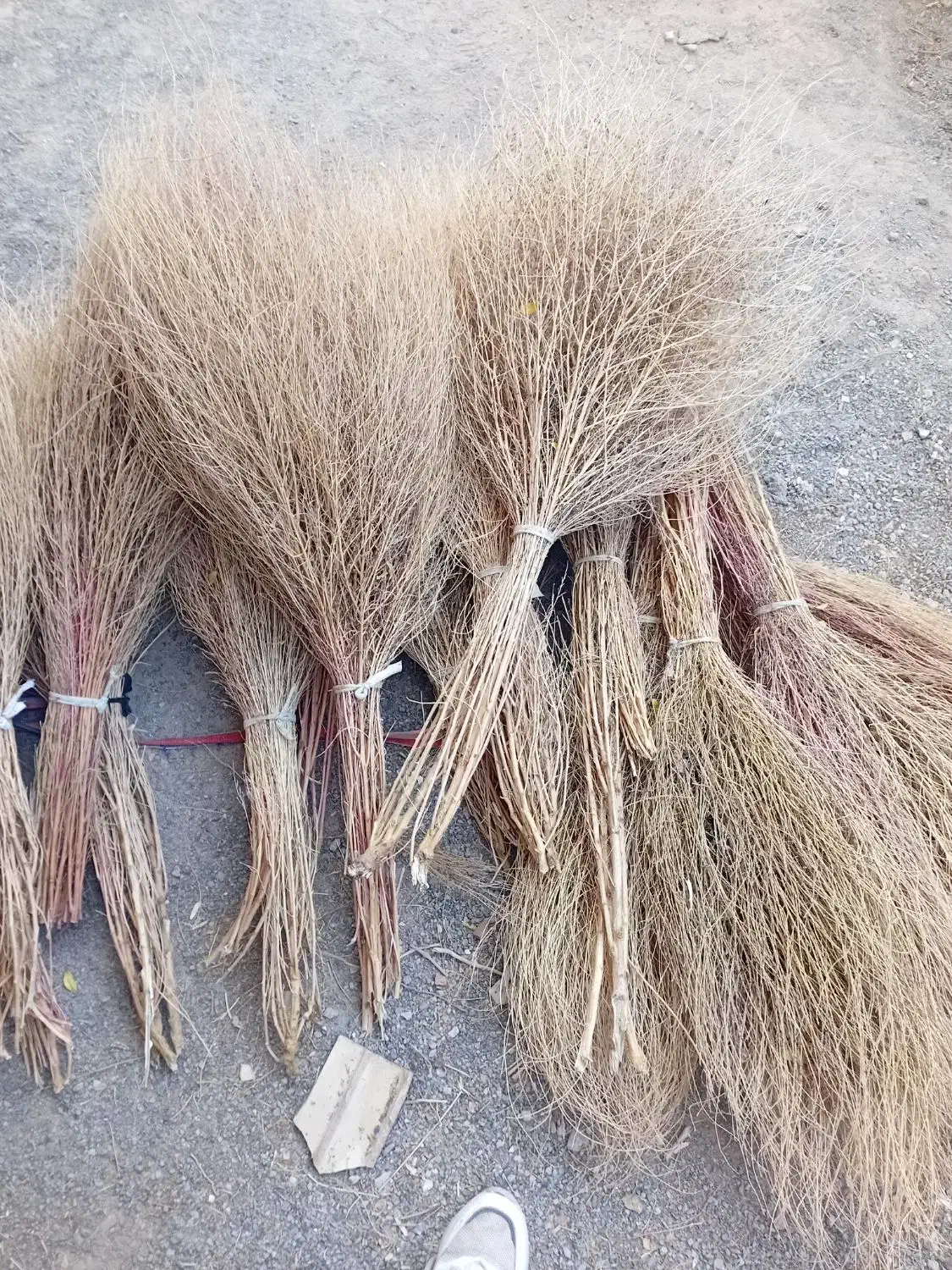 جارو کشمونی بزرگ وکوچک|لوازم نظافت|سربیشه, |دیوار