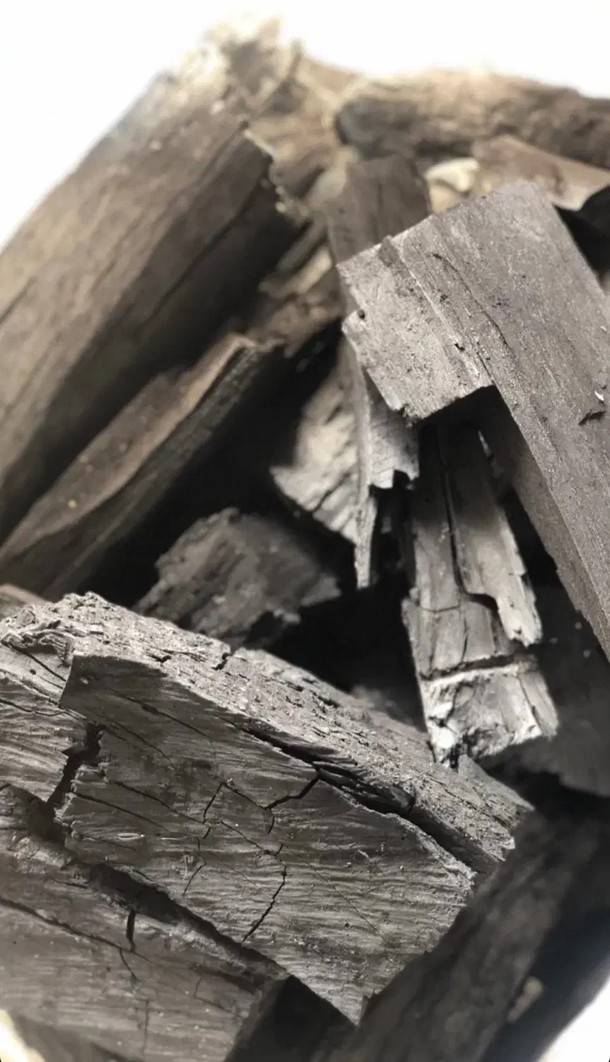 ذغال لوتوس|عمدهفروشی|سیاهکل, |دیوار