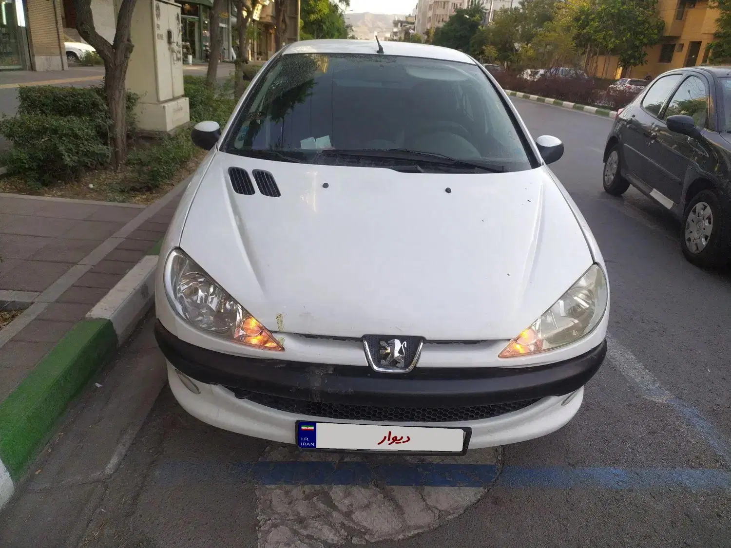 206 sd v8|خودرو سواری و وانت|مشهد, آزادشهر|دیوار