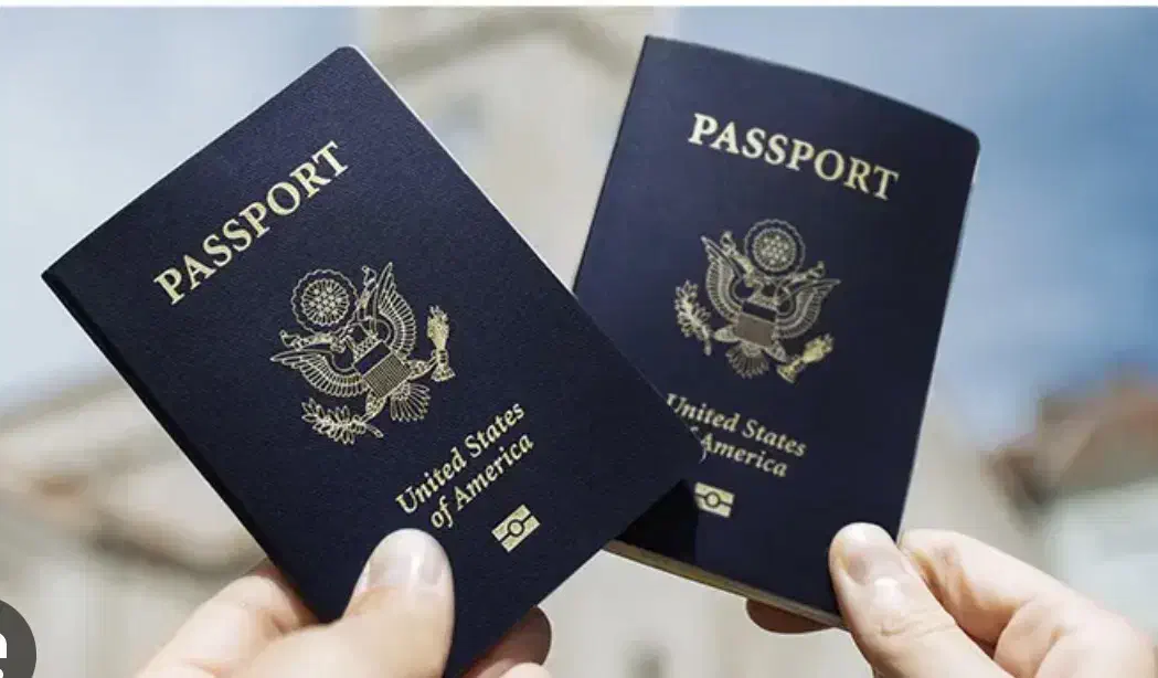 مدارک وپاسپورت پیدا شده|اشیا|تهران, ترمینال جنوب|دیوار