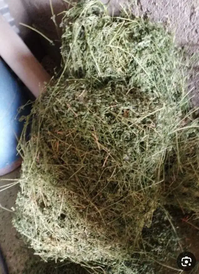 فروش بسته یونجه فله ای|خدمات باغبانی و درختکاری|ماکو, |دیوار