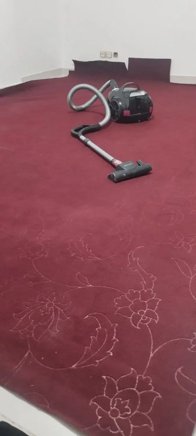 موکت|موکت|پیشوا, |دیوار