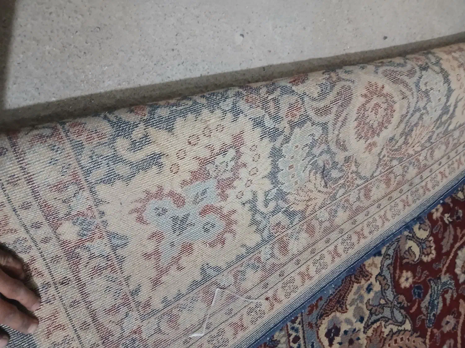 فرش ماشینی ۱۲ متری|فرش|پاکدشت, پاکدشت (مامازند)|دیوار