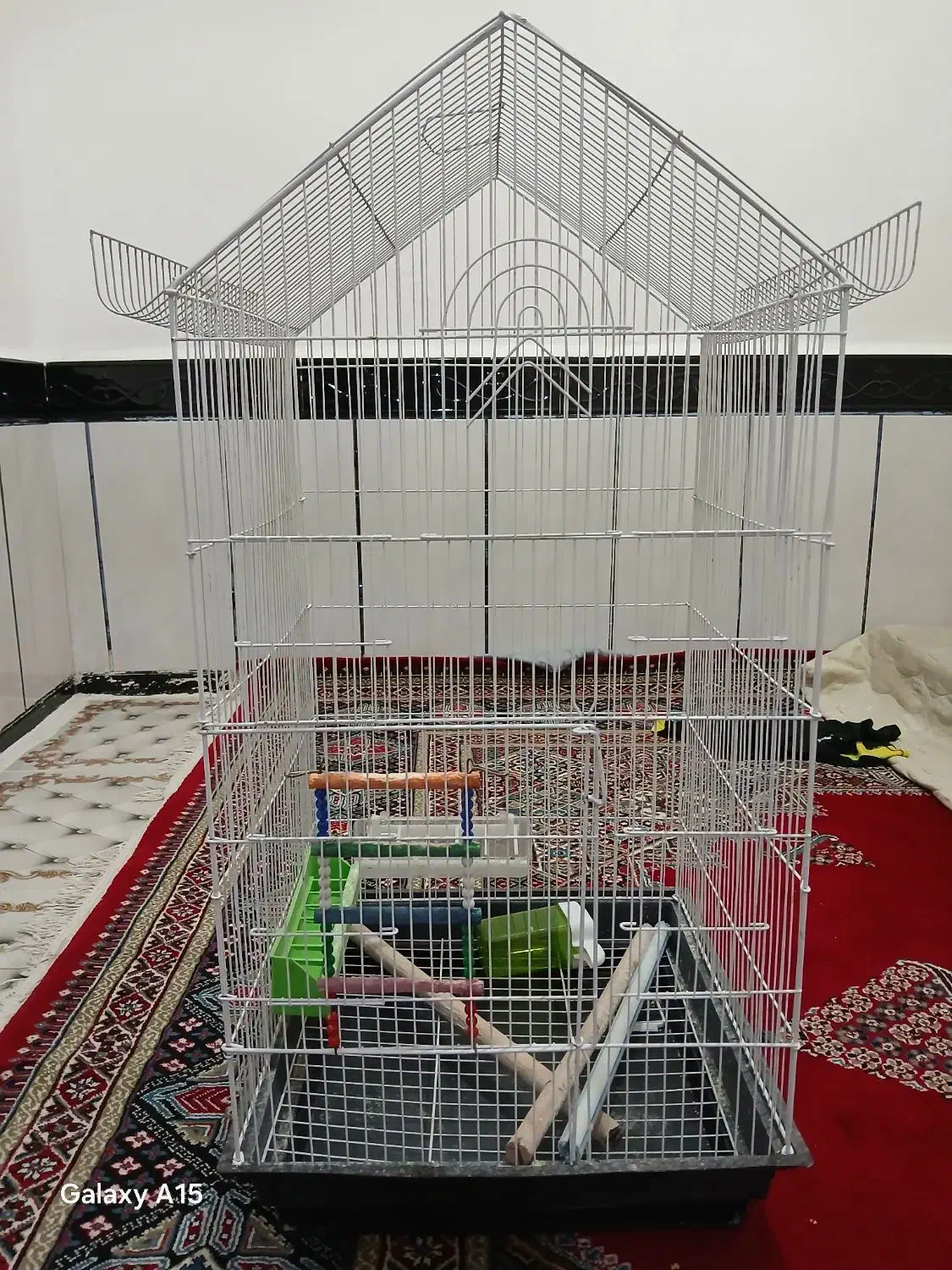 حمیدیه|لوازم جانبی حیوانات|سوسنگرد, |دیوار