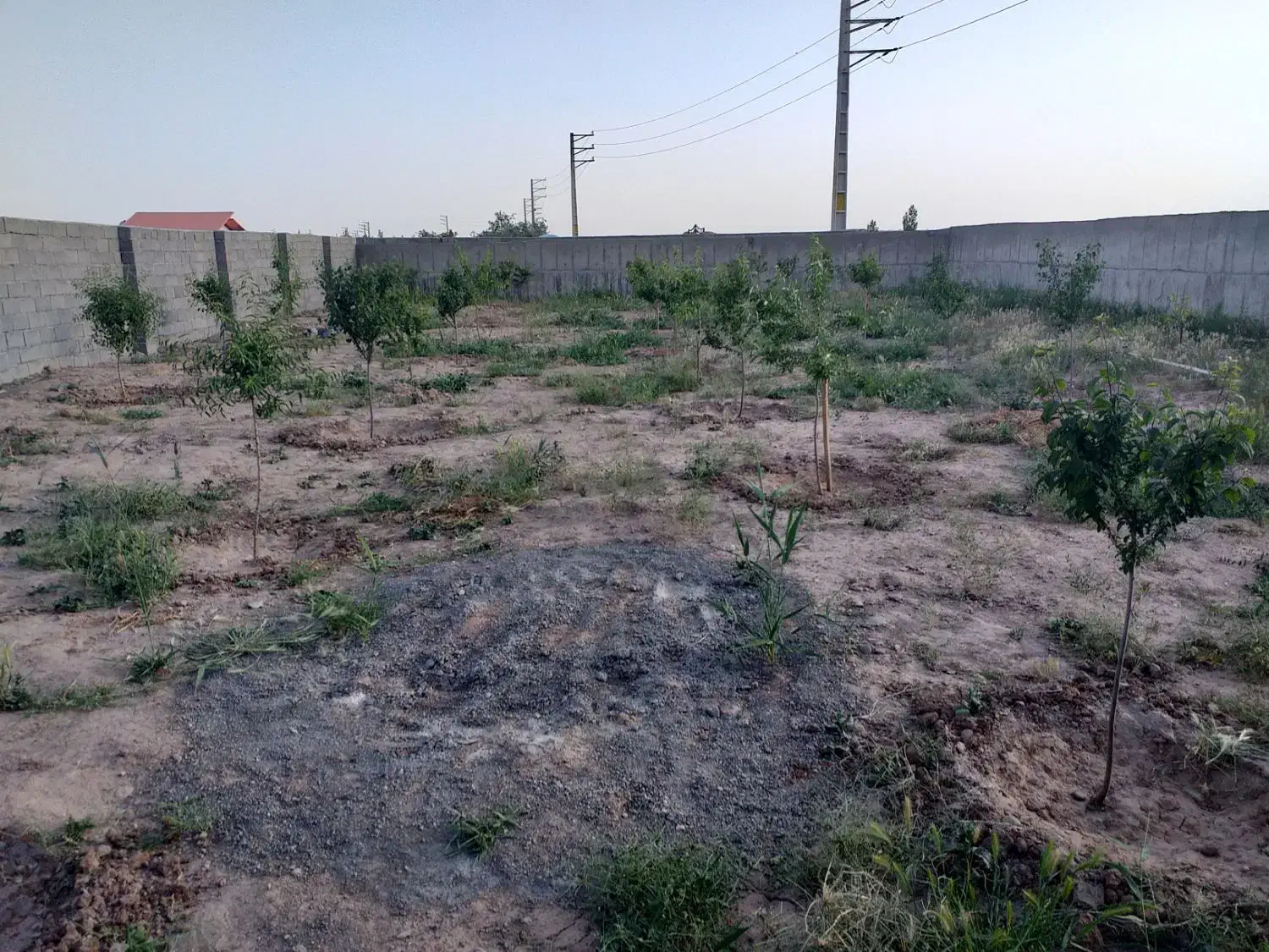 زمین حصارشده|فروش زمین و ملک کلنگی|صوفیان, |دیوار