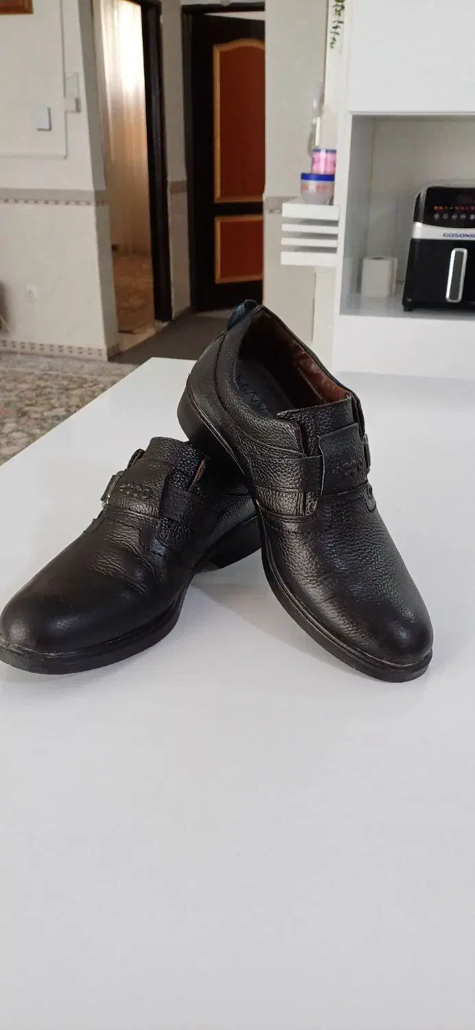 کفش مجلسی|کیف، کفش، کمربند|کرمانشاه, |دیوار