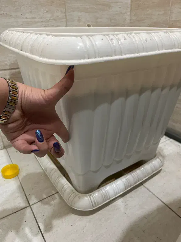 گلدان پلاستیکی بزرگ با خاک|گل و گیاه طبیعی|کرج, گوهردشت|دیوار