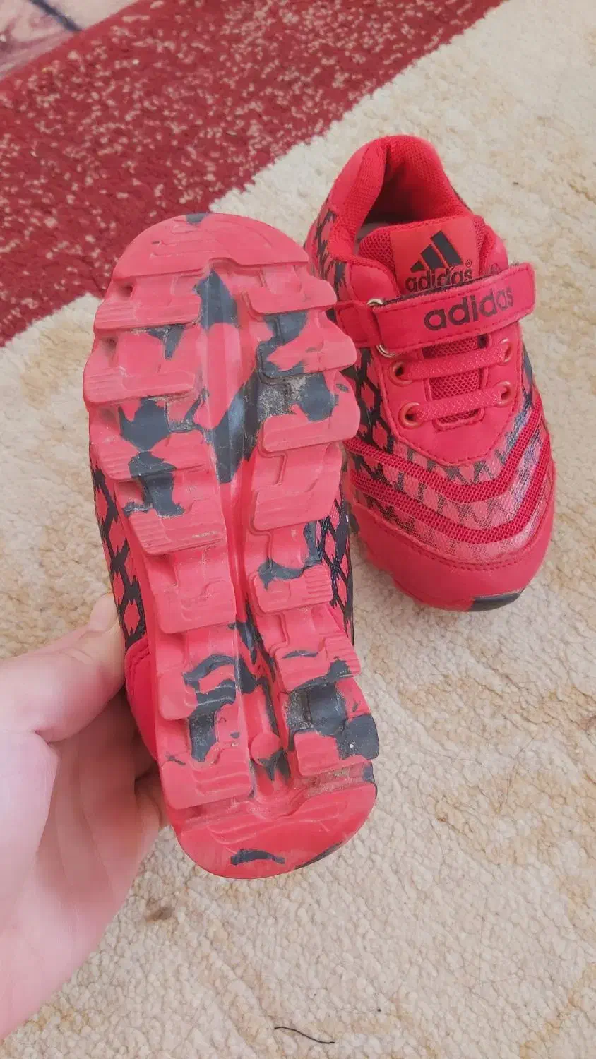 کفش بچگانه|کفش و لباس بچه|تربتحیدریه, باغ سلطانی|دیوار