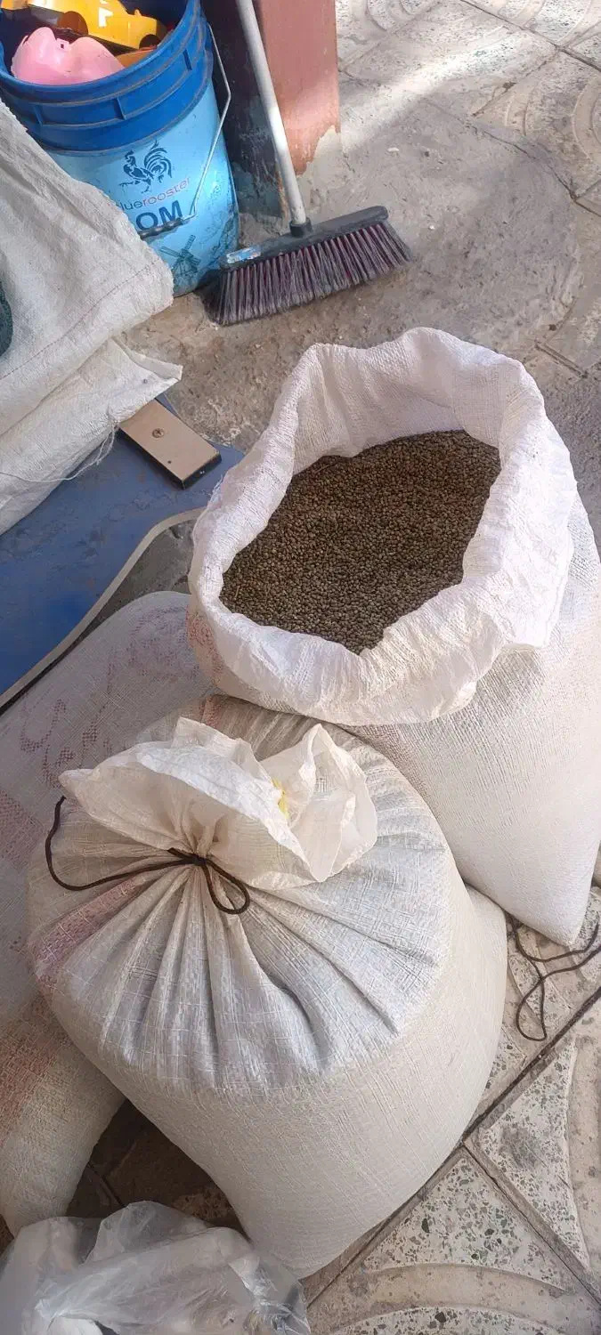 شادونه تازه کیلویی 250|خوردنی و آشامیدنی|داران, |دیوار