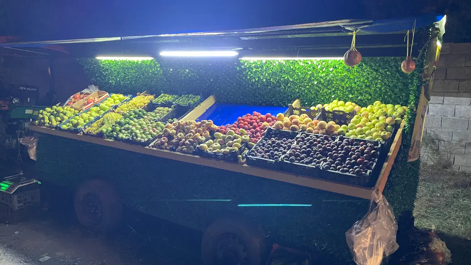 فروش گاری میوه|فروشگاه و مغازه|ماسال, |دیوار