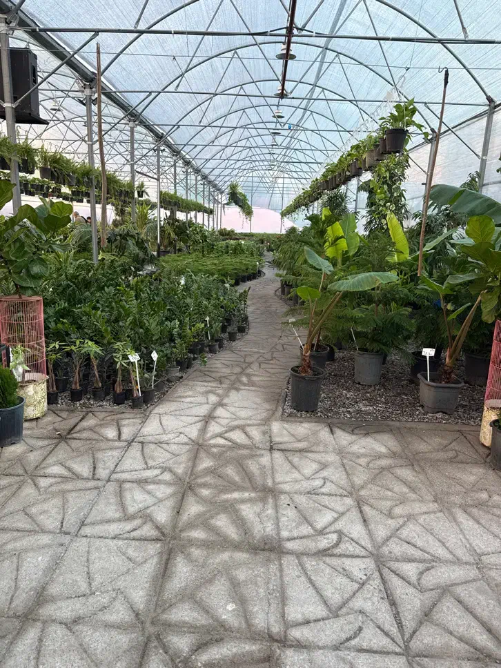 استخدام نیرو اقا و خانم جهت کار در گلخانه|استخدام خدمات فروشگاه و رستوران|مشهد, هفت تیر (حافظ)|دیوار