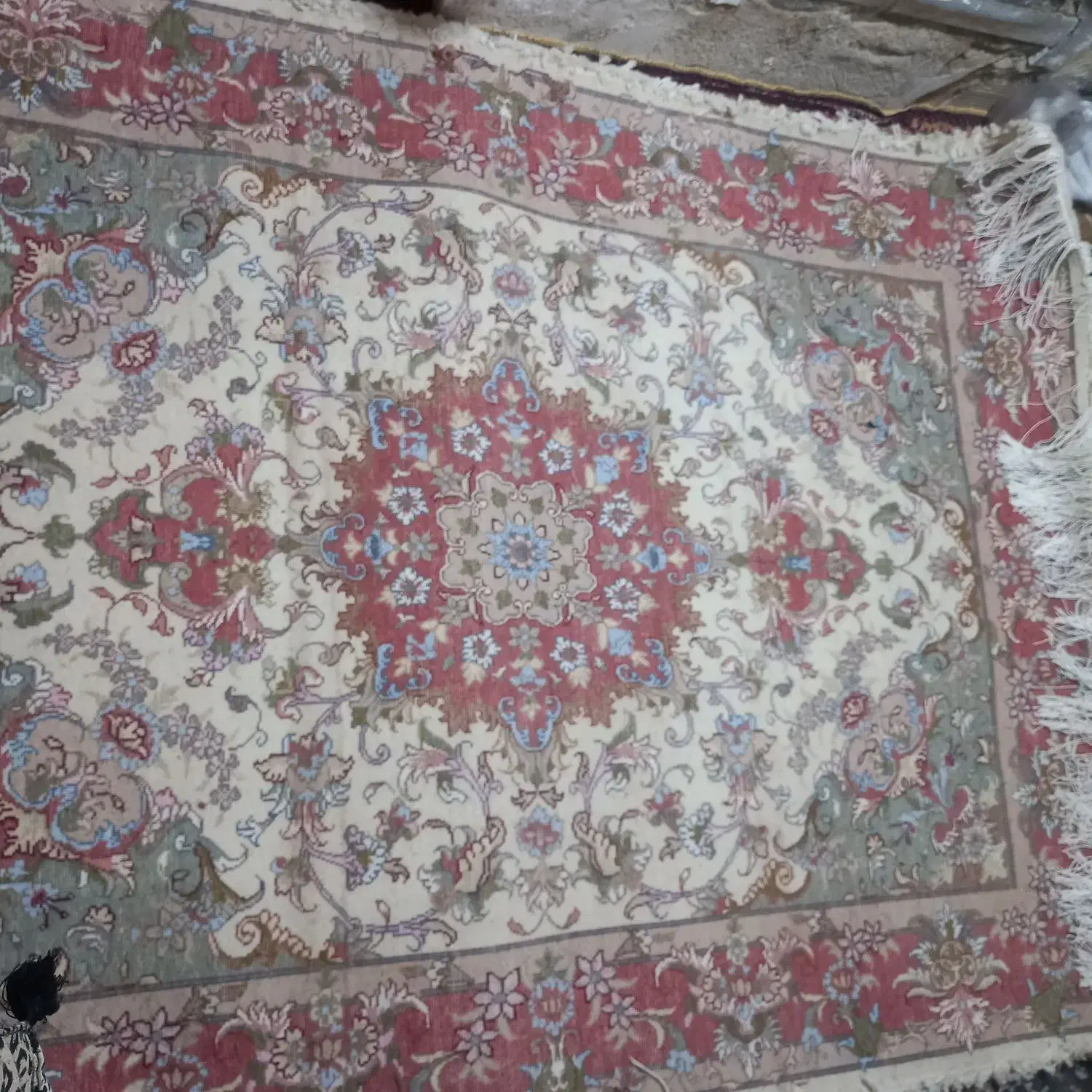 فرش دستباف پشم نو|فرش|قلعه چای, |دیوار